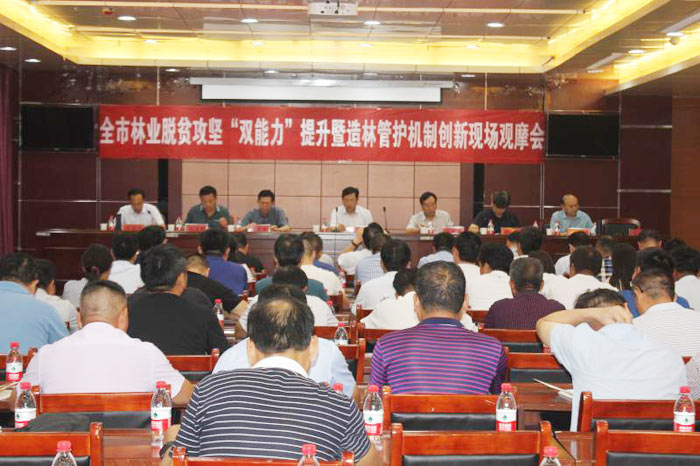 全市林業(yè)脫貧攻堅“雙能力”提升暨造林管護(hù)機(jī)制創(chuàng)新現(xiàn)場觀摩會在我縣召開 全市林業(yè)脫貧攻堅“雙能力”提升暨造林管護(hù)機(jī)制創(chuàng)新現(xiàn)場觀摩會在我縣召開