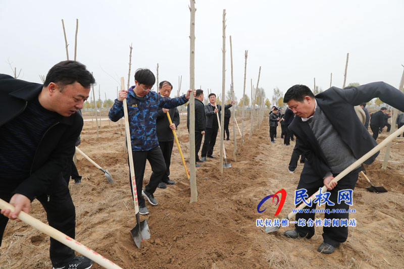 縣四家領(lǐng)導(dǎo)參加冬季義務(wù)植樹活動(dòng) 縣四家領(lǐng)導(dǎo)參加冬季義務(wù)植樹活動(dòng)