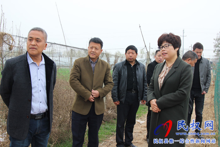 市“大棚房”專項清理整治督導(dǎo)組領(lǐng)導(dǎo)蒞民檢查指導(dǎo)工作