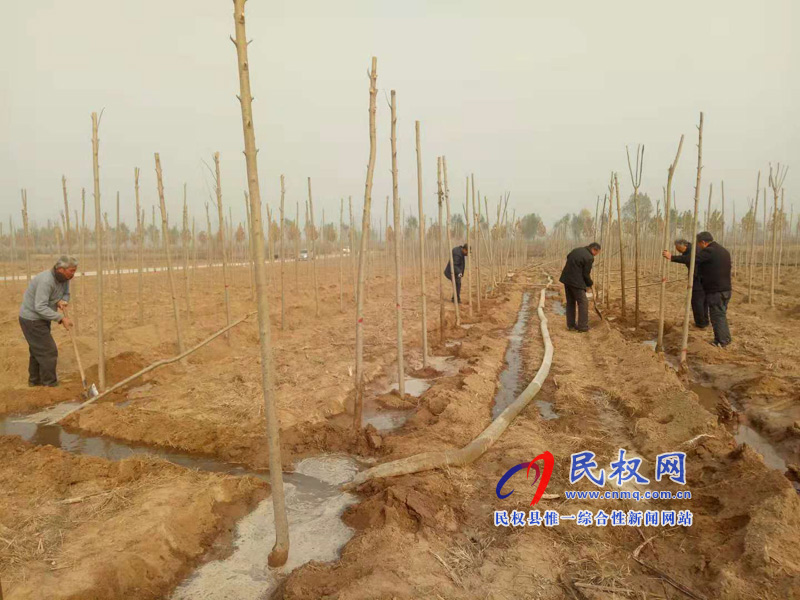縣林業(yè)局五措并舉強(qiáng)化冬季林木管護(hù)工作 縣林業(yè)局五措并舉強(qiáng)化冬季林木管護(hù)工作