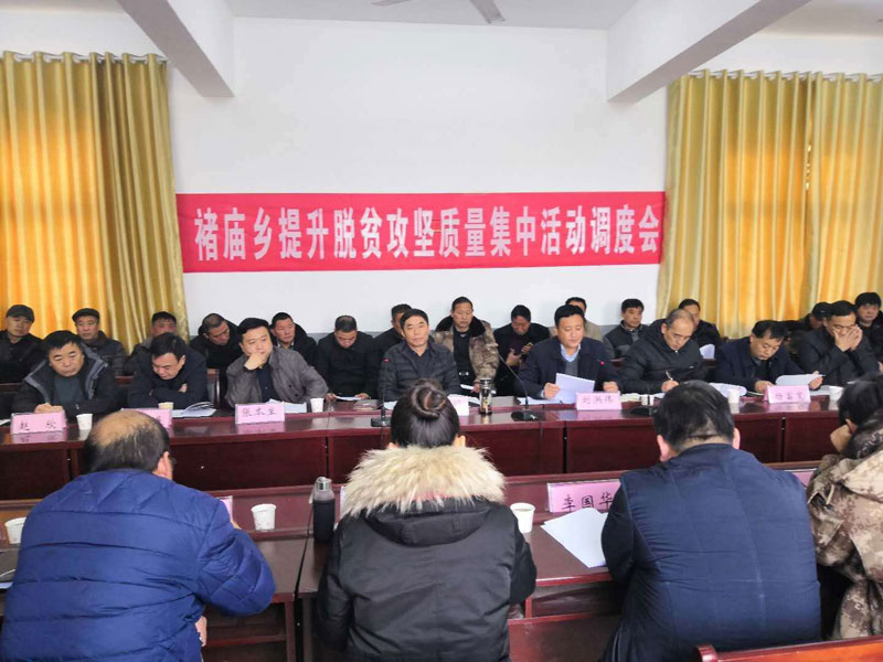 縣委常委、組織部長何玉明出席褚廟鄉(xiāng)提升脫貧攻堅質量集中活動調度會