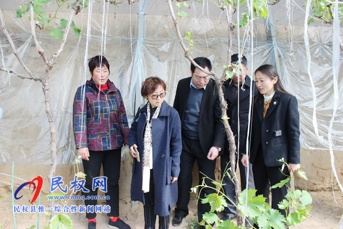 全國婦聯(lián)到我縣調(diào)研《中國婦女報》進鄉(xiāng)村及巾幗脫貧示范基地情況 全國婦聯(lián)到我縣調(diào)研《中國婦女報》進鄉(xiāng)村及巾幗脫貧示范基地情況