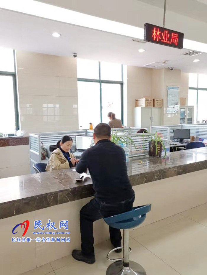 縣林業(yè)局著力打造服務窗口新形象 縣林業(yè)局著力打造服務窗口新形象