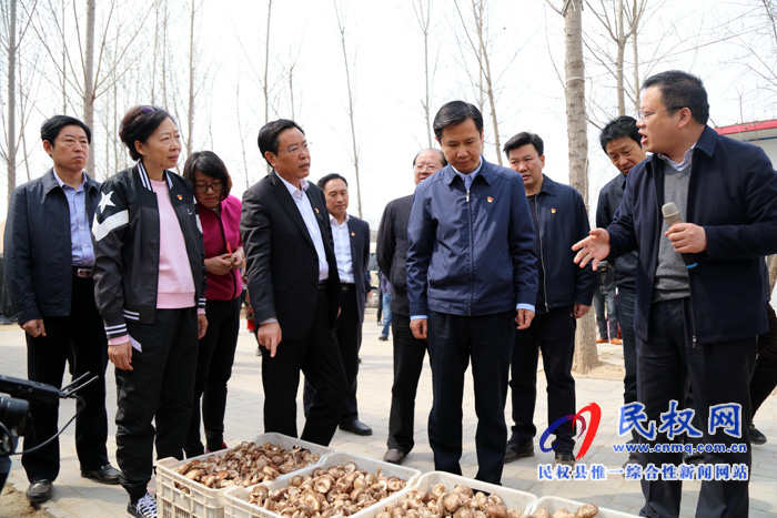 共植媒體林 同迎故道春——省委常委、宣傳部長江凌蒞民植新綠、造“媒林”