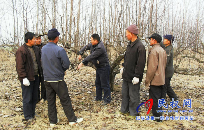 園藝站多措施預(yù)防果樹“倒春寒” 園藝站多措施預(yù)防果樹“倒春寒”