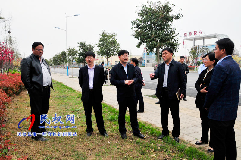 縣委副書記、縣長張團結(jié)查看我縣城區(qū)綠化工作開展情況