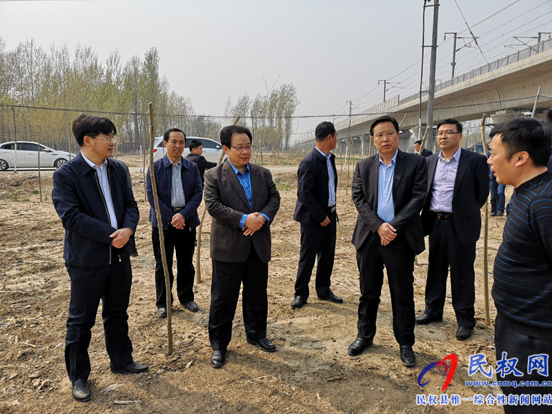 副市長張家明調(diào)研我縣國土綠化提升和生態(tài)廊道建設(shè)進(jìn)展況 副市長張家明調(diào)研我縣國土綠化提升和生態(tài)廊道建設(shè)進(jìn)展況