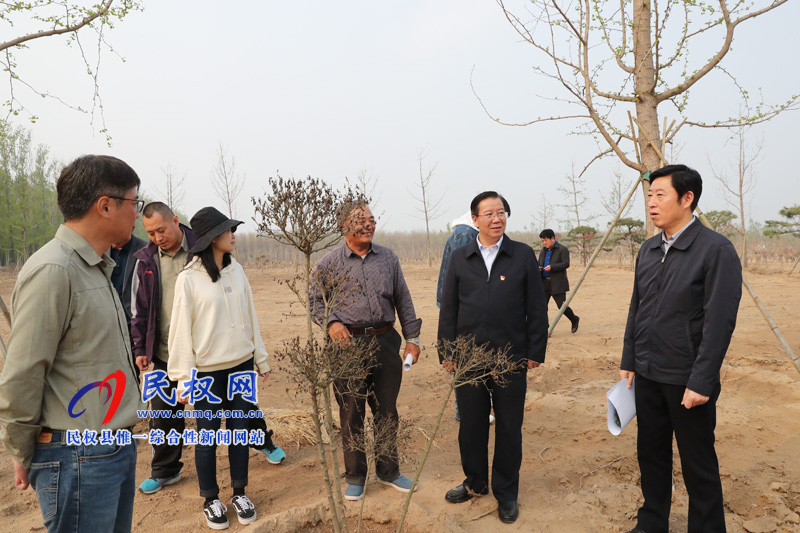 市委常委、宣傳部長王全周調(diào)研我縣申甘林帶“媒林”建設情況