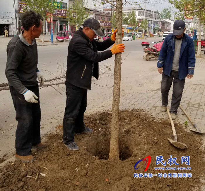 孫六鎮(zhèn):補(bǔ)植綠化樹(shù)?扮靚鎮(zhèn)域風(fēng)景 孫六鎮(zhèn):補(bǔ)植綠化樹(shù)?扮靚鎮(zhèn)域風(fēng)景