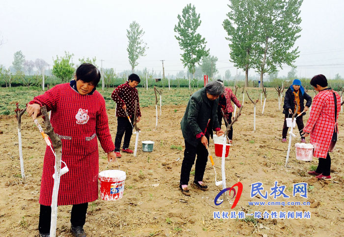 花園鄉(xiāng)推進植樹造林打造“森林花園” 花園鄉(xiāng)推進植樹造林打造“森林花園”