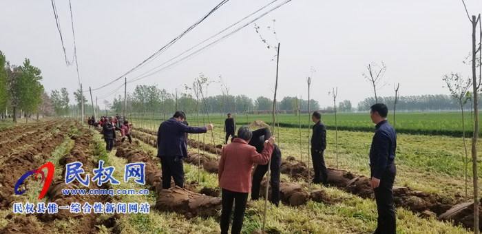 莊子鎮(zhèn)積極開(kāi)展國(guó)土綠化、植樹(shù)造林活動(dòng)