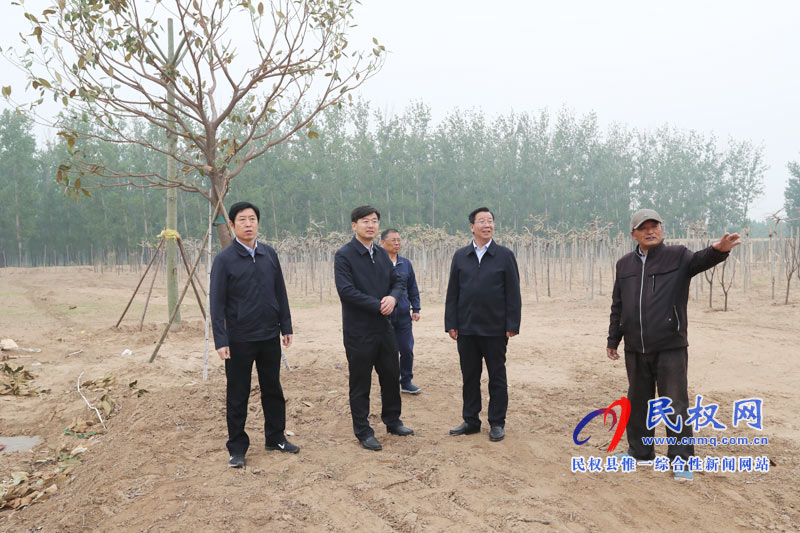 市委常委、宣傳部長(zhǎng)王全周調(diào)研我縣申甘林帶“媒林”建設(shè)及鄉(xiāng)村旅游發(fā)展情況