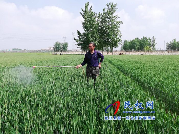 雙塔鎮(zhèn)掀起小麥“一噴三防”高潮 雙塔鎮(zhèn)掀起小麥“一噴三防”高潮