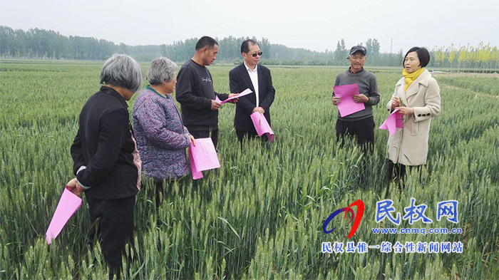 深入實際 服務三農(nóng)---民權縣農(nóng)業(yè)農(nóng)村局農(nóng)技人員傾情服務在田間 深入實際 服務三農(nóng)---民權縣農(nóng)業(yè)農(nóng)村局農(nóng)技人員傾情服務在田間