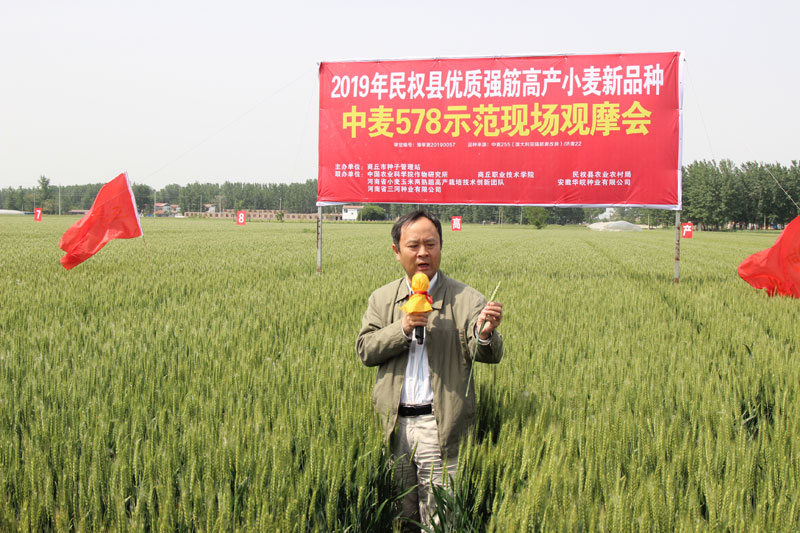 2019年商丘市優(yōu)質(zhì)強(qiáng)筋高產(chǎn)小麥新品種示范現(xiàn)場觀摩會在民權(quán)召開 2019年商丘市優(yōu)質(zhì)強(qiáng)筋高產(chǎn)小麥新品種示范現(xiàn)場觀摩會在民權(quán)召開