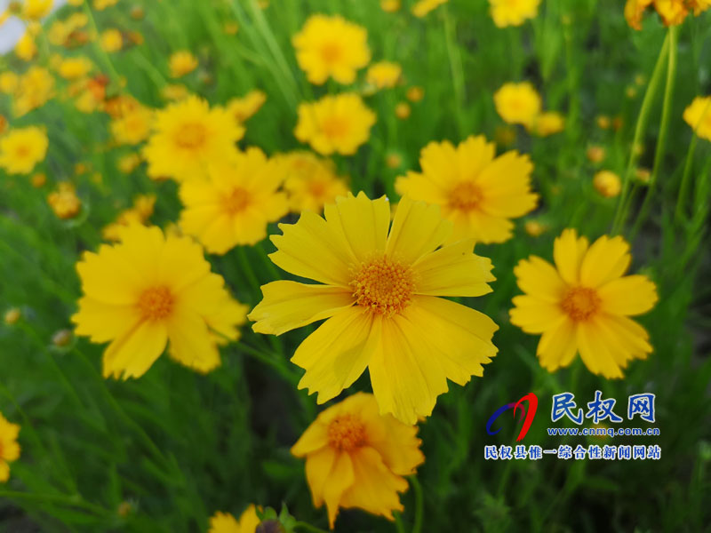 圖說(shuō)民權(quán)丨民權(quán)縣安瀾湖公園 圖說(shuō)民權(quán)丨民權(quán)縣安瀾湖公園