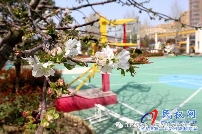 民東新區(qū)實(shí)驗(yàn)幼兒園2019年秋季學(xué)位預(yù)訂開始啦！
