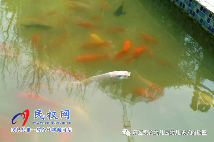 民東新區(qū)實(shí)驗(yàn)幼兒園2019年秋季學(xué)位預(yù)訂開始啦！