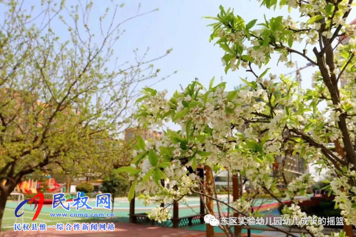 民東新區(qū)實(shí)驗(yàn)幼兒園2019年秋季學(xué)位預(yù)訂開始啦！
