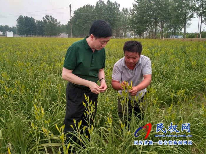縣委常委、副縣長房季到孫六鎮(zhèn)劉炳莊村檢查調(diào)研扶貧工作