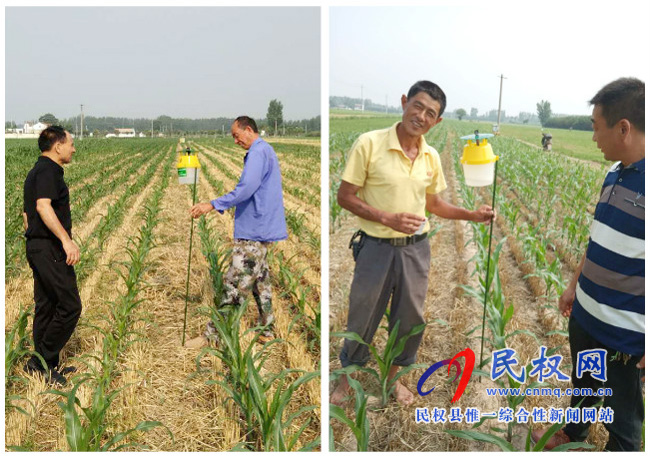 伯黨鄉(xiāng):村村用上草地貪蛾誘捕器 打好“蟲(chóng)口奪糧戰(zhàn)” 伯黨鄉(xiāng):村村用上草地貪蛾誘捕器 打好“蟲(chóng)口奪糧戰(zhàn)”