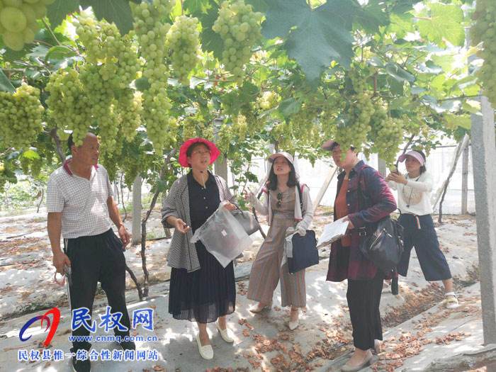 市農業(yè)農村局領導蒞民開展農產品質量安全例行監(jiān)測工作 市農業(yè)農村局領導蒞民開展農產品質量安全例行監(jiān)測工作