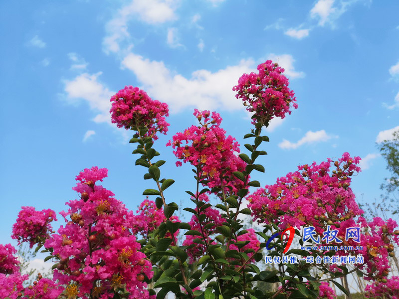 民權(quán)美景“民權(quán)藍” ? 民權(quán)美景“民權(quán)藍” ?