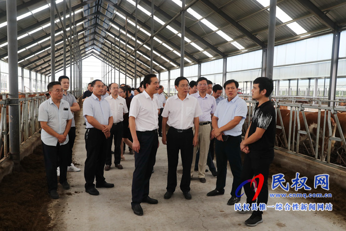 全市產(chǎn)業(yè)扶貧、金融扶貧暨結(jié)對幫扶民權(quán)縣工作推進會在我縣召開