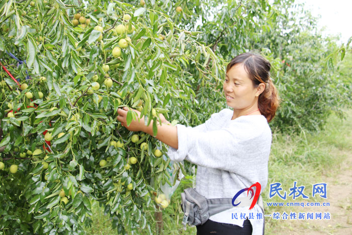 花園鄉(xiāng)打好“產(chǎn)業(yè)升級(jí)牌”助推鄉(xiāng)村振興 花園鄉(xiāng)打好“產(chǎn)業(yè)升級(jí)牌”助推鄉(xiāng)村振興