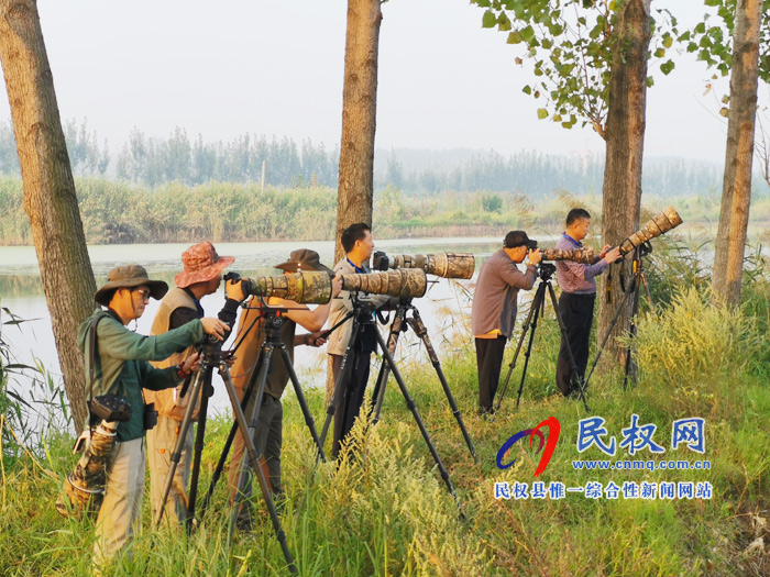 河南民權(quán)黃河故道國家濕地公園“青頭潛鴨重要繁殖地”新聞發(fā)布會今日舉行 河南民權(quán)黃河故道國家濕地公園“青頭潛鴨重要繁殖地”新聞發(fā)布會今日舉行