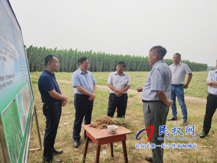 省政協(xié)副主席李英杰蒞民調研油莎豆產(chǎn)業(yè)發(fā)展情況 省政協(xié)副主席李英杰蒞民調研油莎豆產(chǎn)業(yè)發(fā)展情況