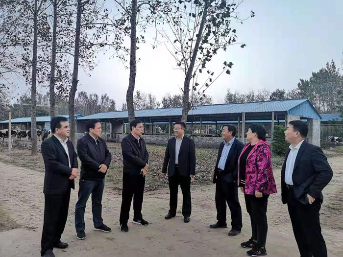 市人大常委會(huì)副主任、縣委書(shū)記姬脈常到我縣部分鄉(xiāng)鎮(zhèn)調(diào)研產(chǎn)業(yè)扶貧項(xiàng)目發(fā)展情況