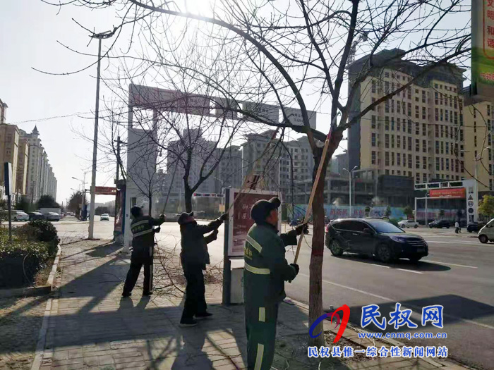 民權(quán)縣園林綠化中心多措并舉抓實(shí)冬季綠化養(yǎng)護(hù)管理工作 民權(quán)縣園林綠化中心多措并舉抓實(shí)冬季綠化養(yǎng)護(hù)管理工作