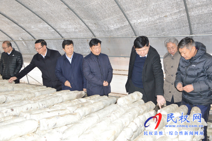 民權(quán)縣國(guó)家級(jí)林下食用菌種植標(biāo)準(zhǔn)化示范區(qū)順利通過(guò)考核驗(yàn)收 民權(quán)縣國(guó)家級(jí)林下食用菌種植標(biāo)準(zhǔn)化示范區(qū)順利通過(guò)考核驗(yàn)收