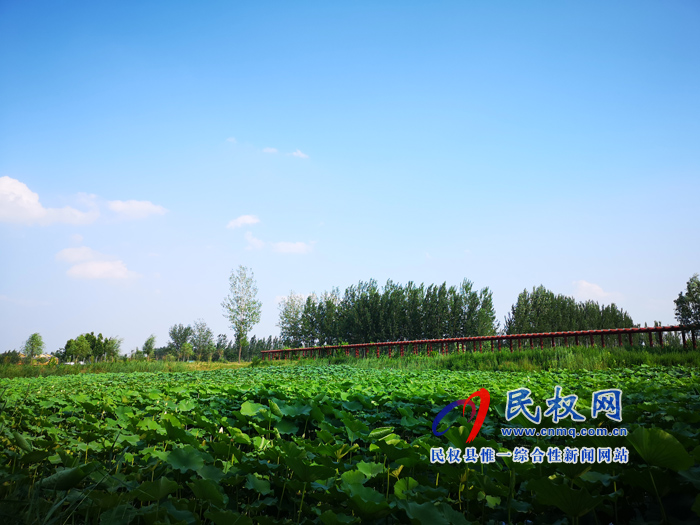 民權(quán)被住建部命名為國(guó)家園林縣城 民權(quán)被住建部命名為國(guó)家園林縣城