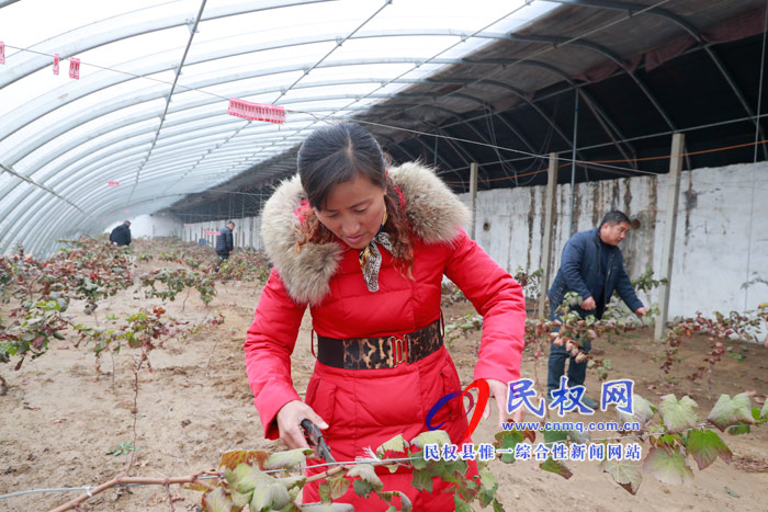 民權(quán)全方位引導(dǎo)農(nóng)民工返鄉(xiāng)創(chuàng)業(yè) 激活發(fā)展動能三萬多人返鄉(xiāng)創(chuàng)業(yè)帶富鄉(xiāng)鄰