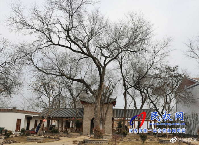 林七鄉(xiāng):做好人居環(huán)境整治 建設美麗宜居鄉(xiāng)村 林七鄉(xiāng):做好人居環(huán)境整治 建設美麗宜居鄉(xiāng)村