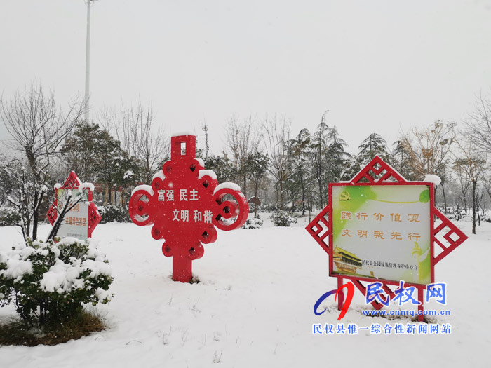 圖說|河南民權(quán)：2020年的第一場(chǎng)雪，太美了吧!