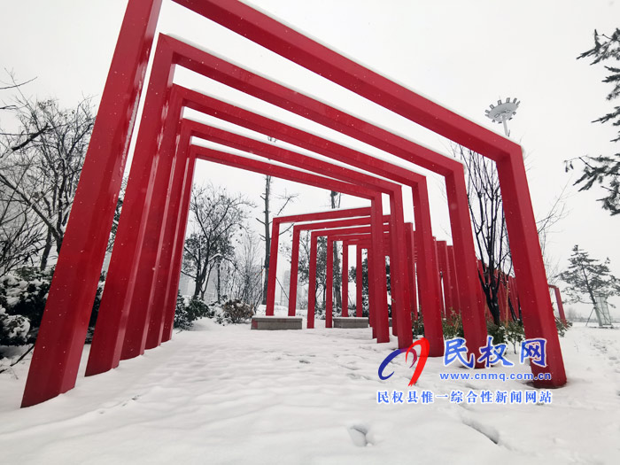 圖說|河南民權(quán)：2020年的第一場(chǎng)雪，太美了吧!