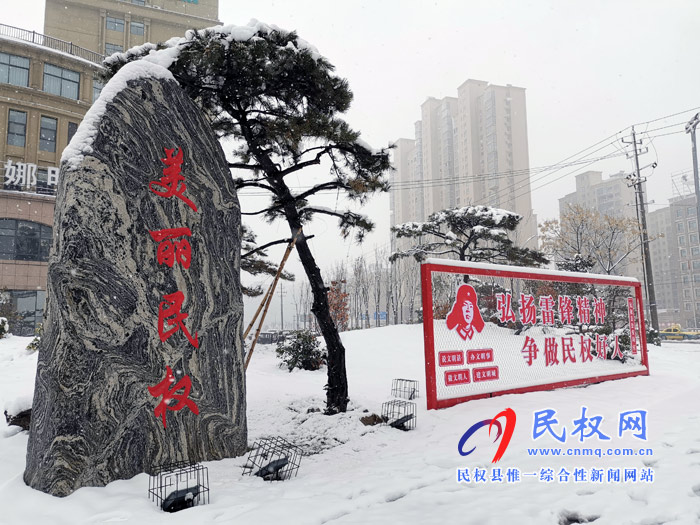 圖說|河南民權(quán)：2020年的第一場(chǎng)雪，太美了吧!