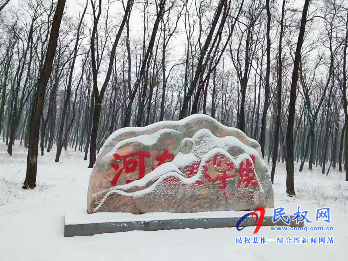 圖說|河南民權(quán)：2020年的第一場(chǎng)雪，太美了吧!
