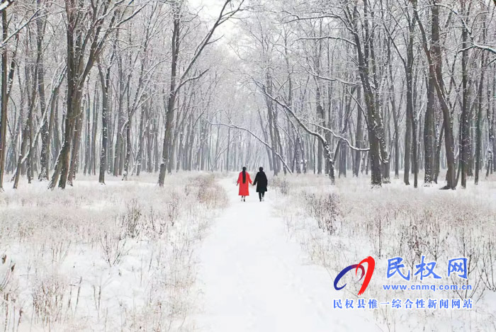 圖說|河南民權(quán)：2020年的第一場(chǎng)雪，太美了吧!