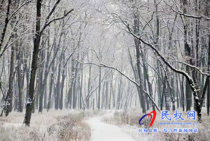 圖說|河南民權(quán)：2020年的第一場(chǎng)雪，太美了吧!