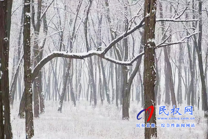 圖說|河南民權(quán)：2020年的第一場(chǎng)雪，太美了吧!