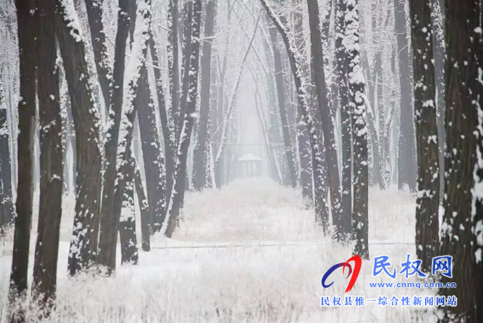 圖說|河南民權(quán)：2020年的第一場(chǎng)雪，太美了吧!