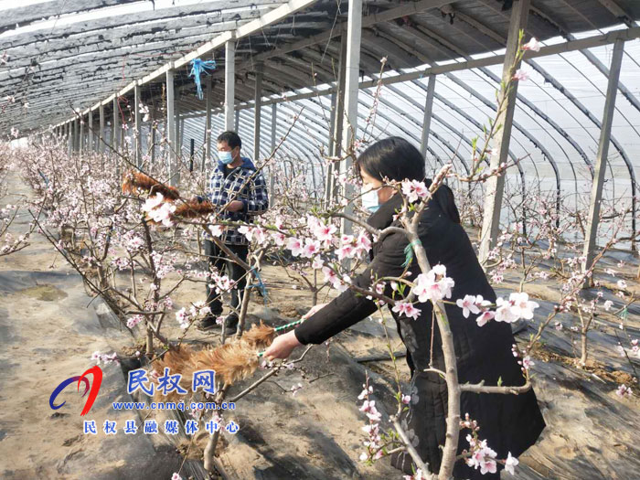 雙塔鎮(zhèn):一手抓疫情防控 一手抓農(nóng)耕生產(chǎn) 雙塔鎮(zhèn):一手抓疫情防控 一手抓農(nóng)耕生產(chǎn)