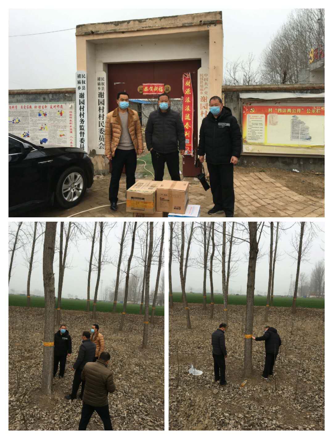 縣林業(yè)發(fā)展服務(wù)中心防疫、防治兩不誤