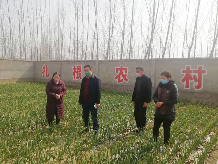 市農(nóng)村農(nóng)業(yè)局黨組成員、總農(nóng)藝師蒞民查看基層區(qū)域站服務(wù)春季農(nóng)業(yè)生產(chǎn)情況