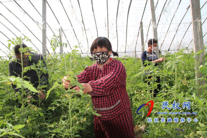 褚廟鄉(xiāng):財(cái)政扶持助力產(chǎn)業(yè)發(fā)展 褚廟鄉(xiāng):財(cái)政扶持助力產(chǎn)業(yè)發(fā)展