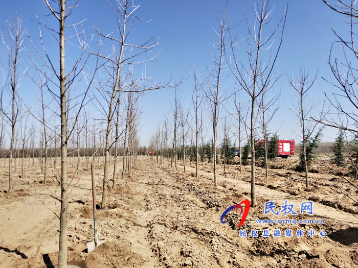 市人大常委會(huì)在民權(quán)國(guó)家森林公園舉辦民主法治生態(tài)建設(shè)主題植樹活動(dòng) 市人大常委會(huì)在民權(quán)國(guó)家森林公園舉辦民主法治生態(tài)建設(shè)主題植樹活動(dòng)